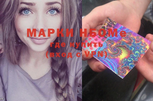 мдпв Богородицк