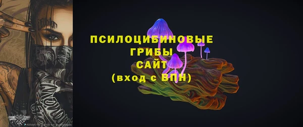мдпв Богородицк