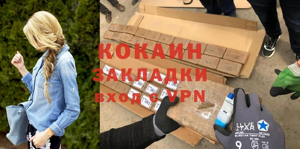 мдпв Богородицк