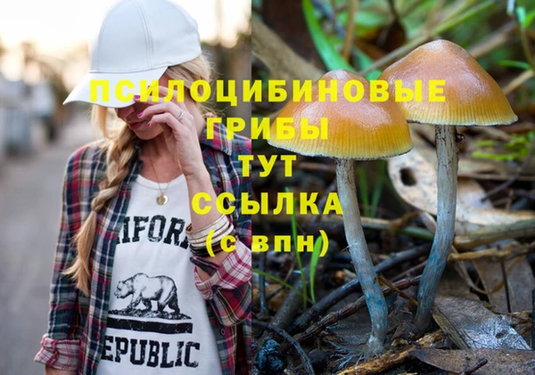 соль ск Приозерск
