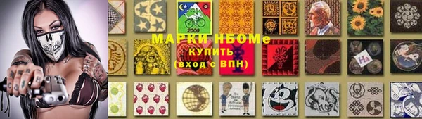 мдпв Богородицк