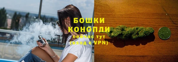 мдпв Богородицк